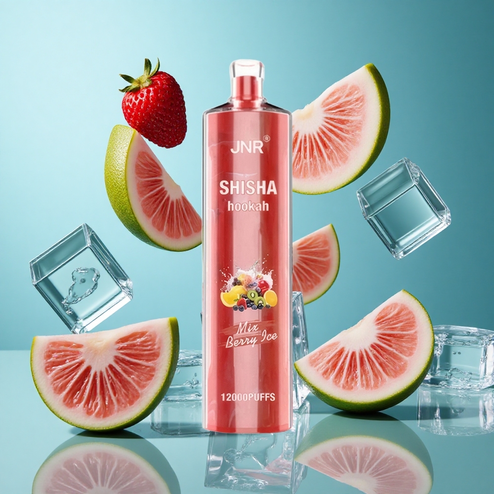 Лед от горски плодове JNR Shisha Hookah 12000 Пуфове 24ml Bulgaria vapes
