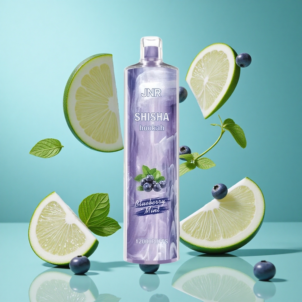 Боровинково мента JNR Shisha Hookah 12000 Пуфове 24ml Bulgaria vapes
