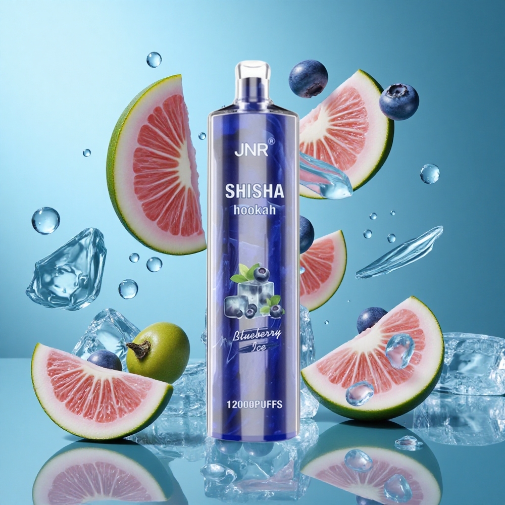 Боровинка Лед JNR Shisha Hookah 12000 Пуфове 750mAh Bulgaria vapes